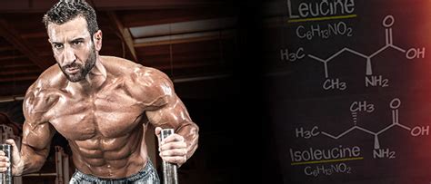 side effects of bcaa supplements|Health Dangers of BCAA in Protein Supplements .